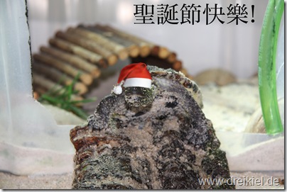 Frohe Weihnachten