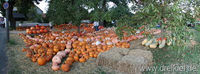 kürbisfest-panorama