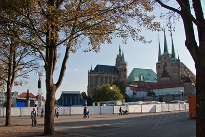 _MG_9175 _MG_9175