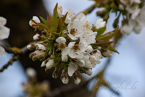 IMG_1129.jpg