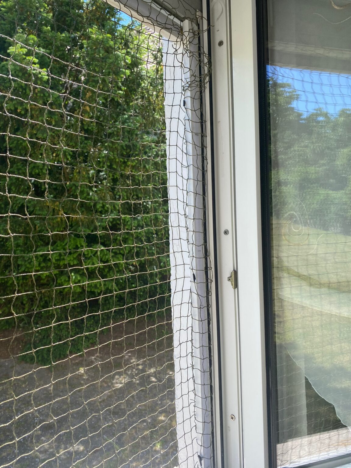Fenster Katzensicher machen DIY Blueturtles